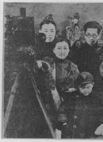 麻豆是什么
